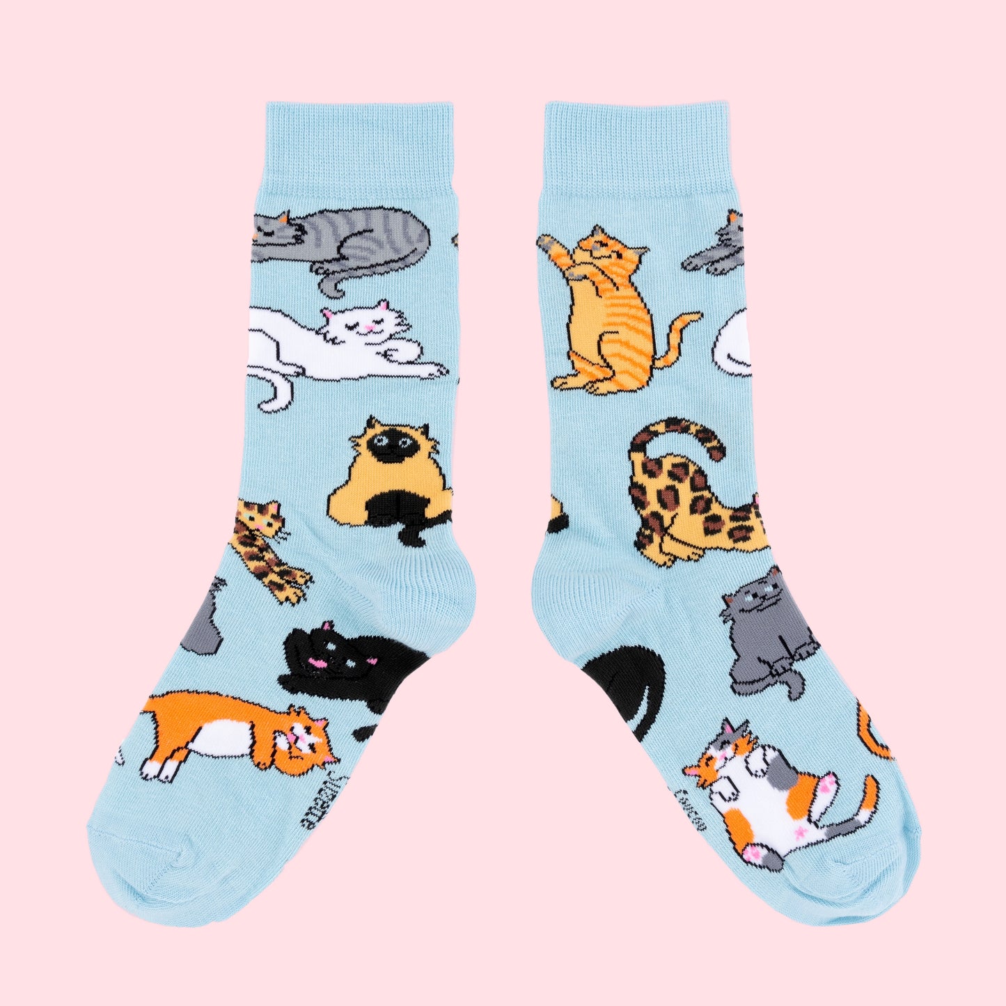 MEOW Sokker