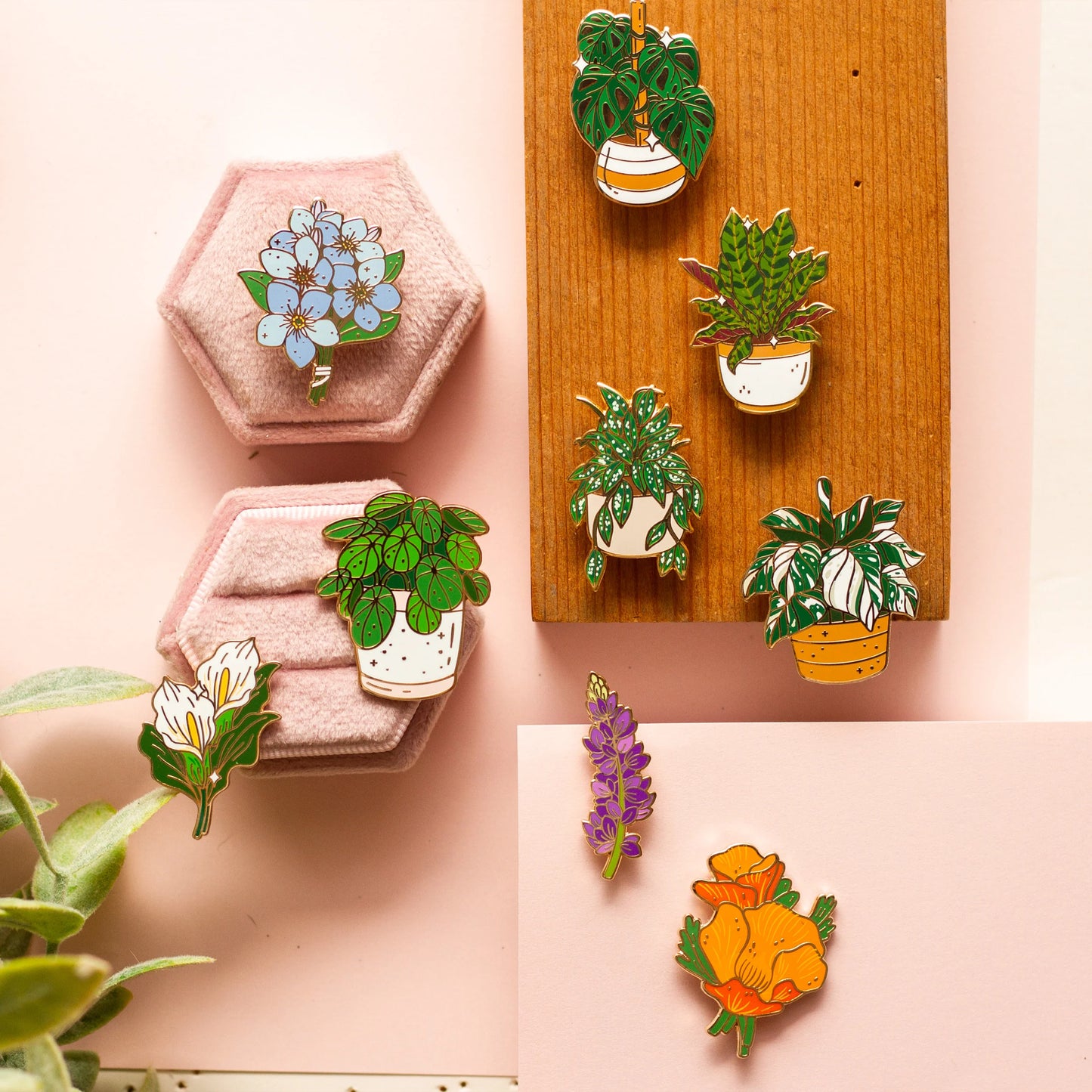 Alocasia Frydek Pins