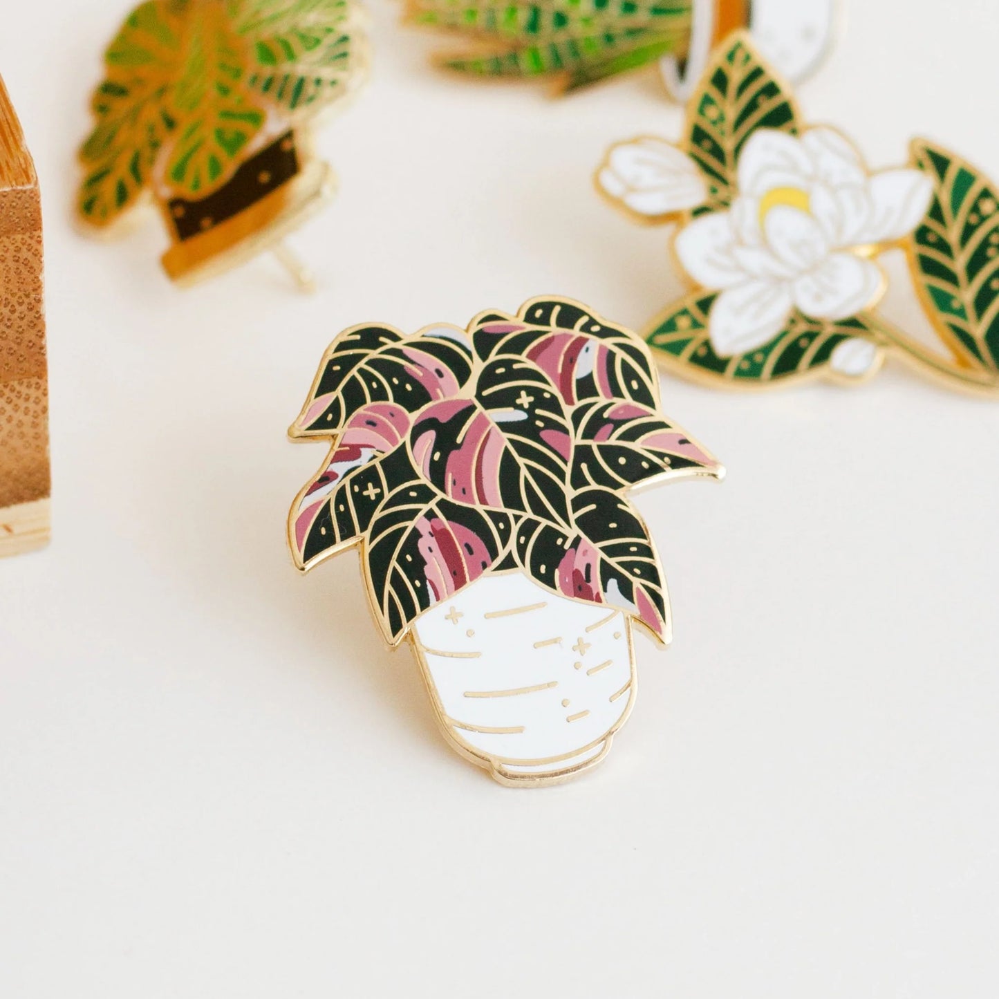 Philodendron Pink Princess Pins