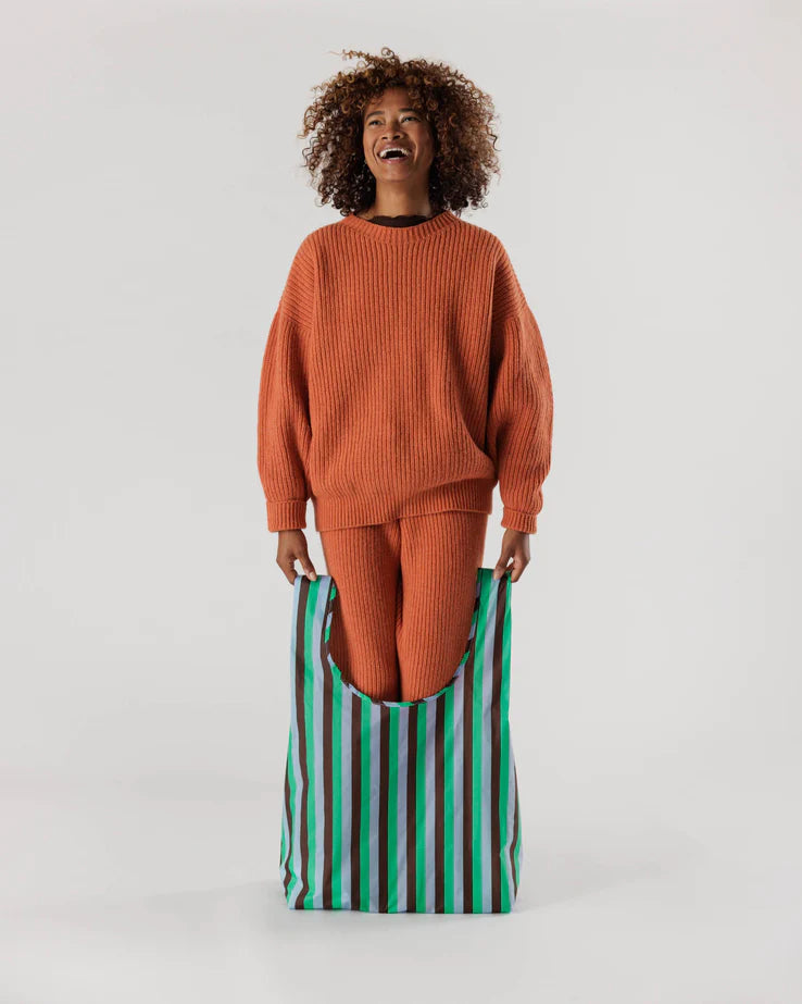 Big Baggu Mint 90's Stripe