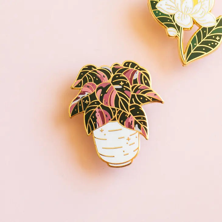Philodendron Pink Princess Pins