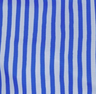 blue painted stripe