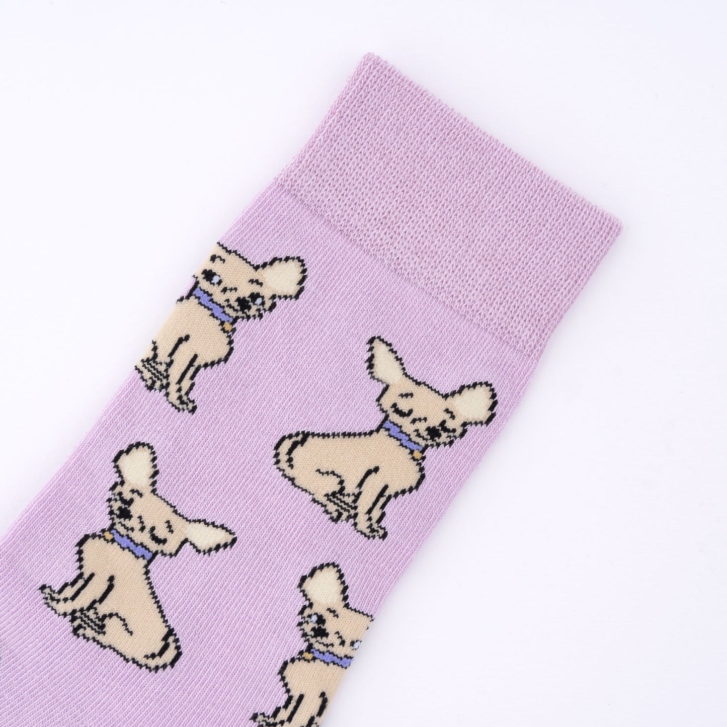 CHIHUAHUA Sokker