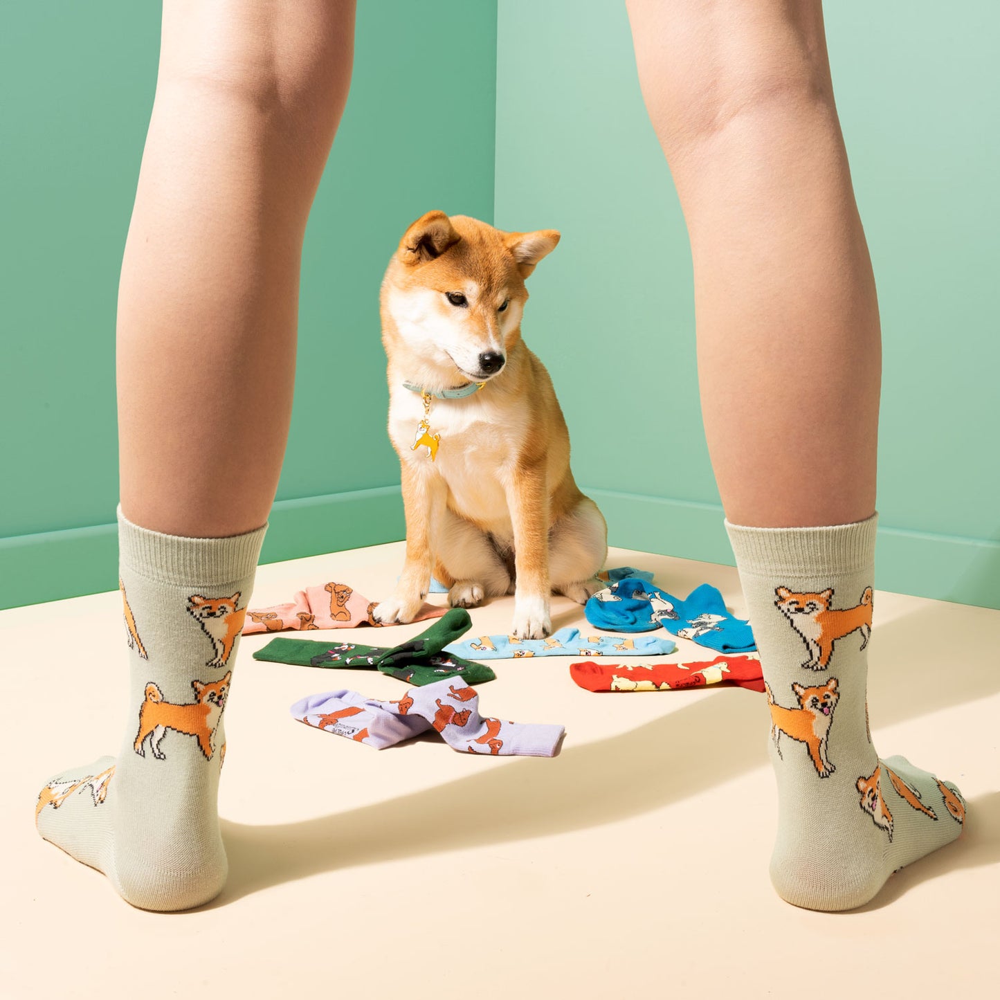 SHIBA Sokker