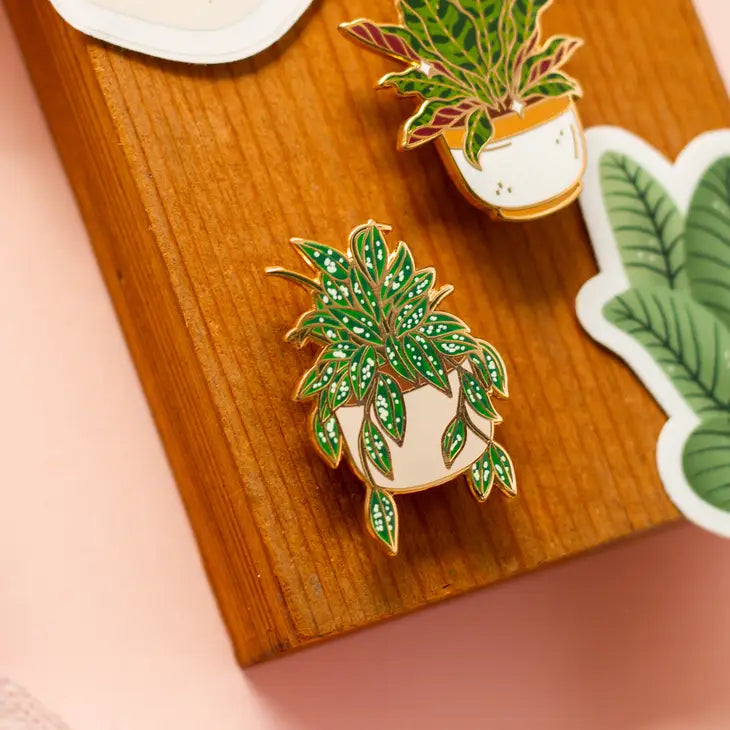 Hoya Splash Pins