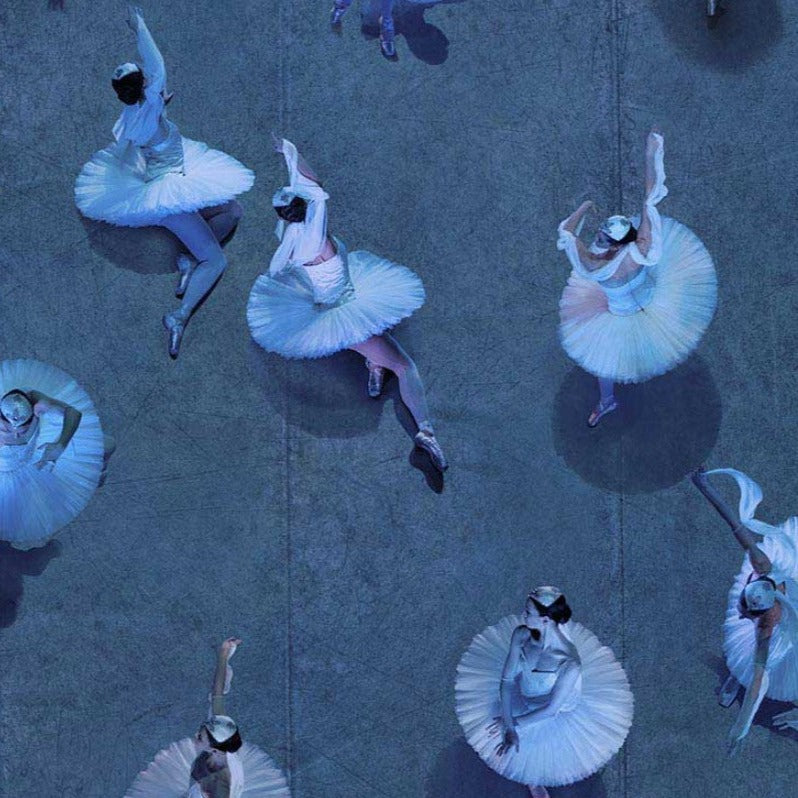 The Essence of Ballet 50 x 70 cm