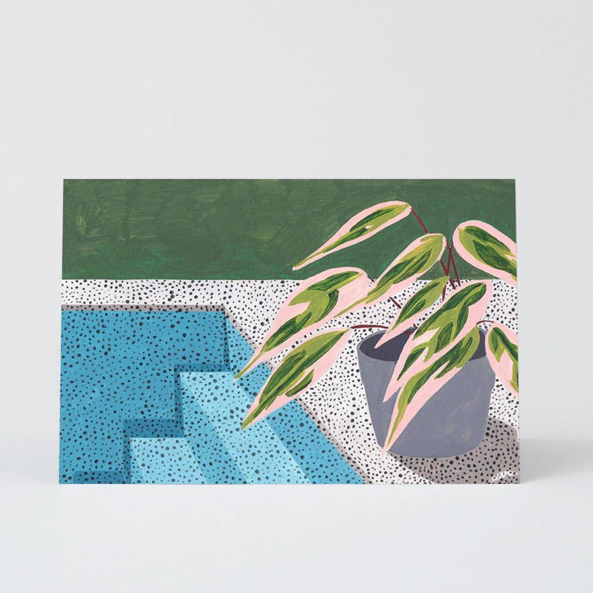 Plant Study 1 - Kort