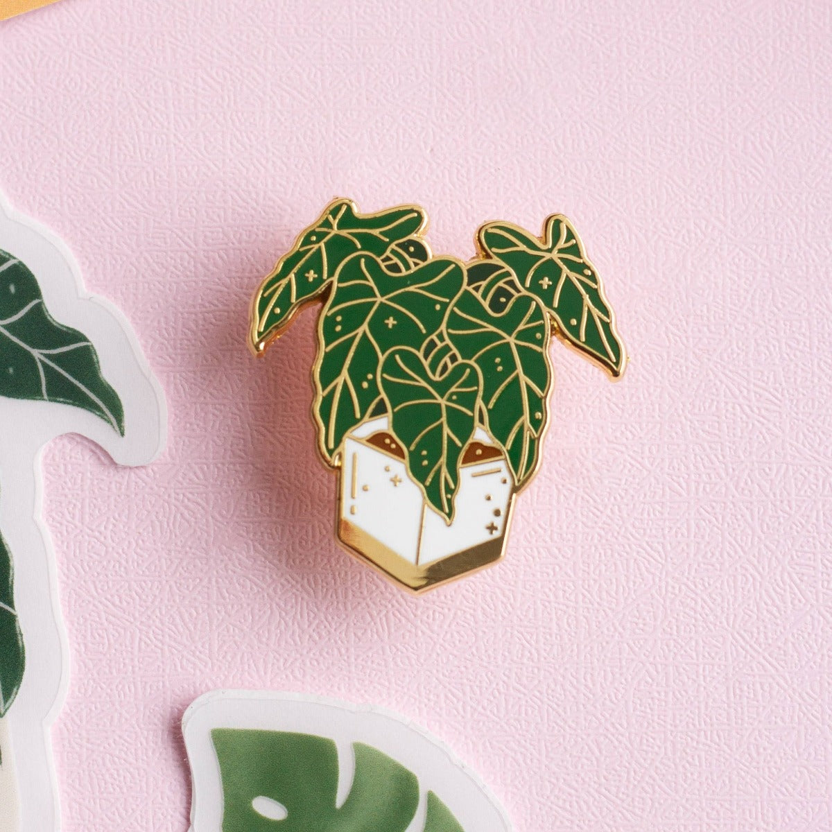 Alocasia Frydek Pins