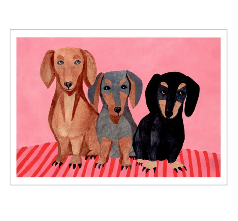 Dachshunds A3