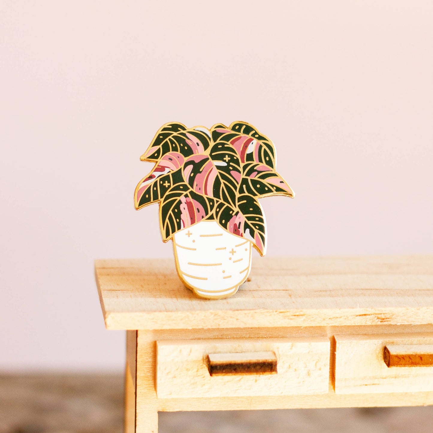 Philodendron Pink Princess Pins