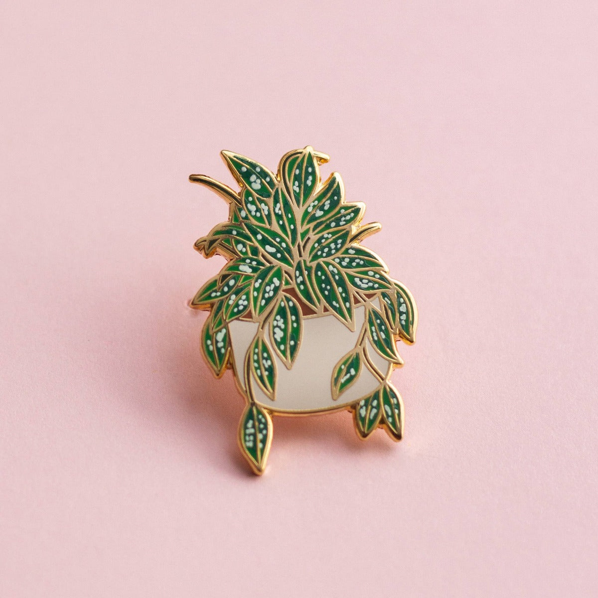 Hoya Splash Pins