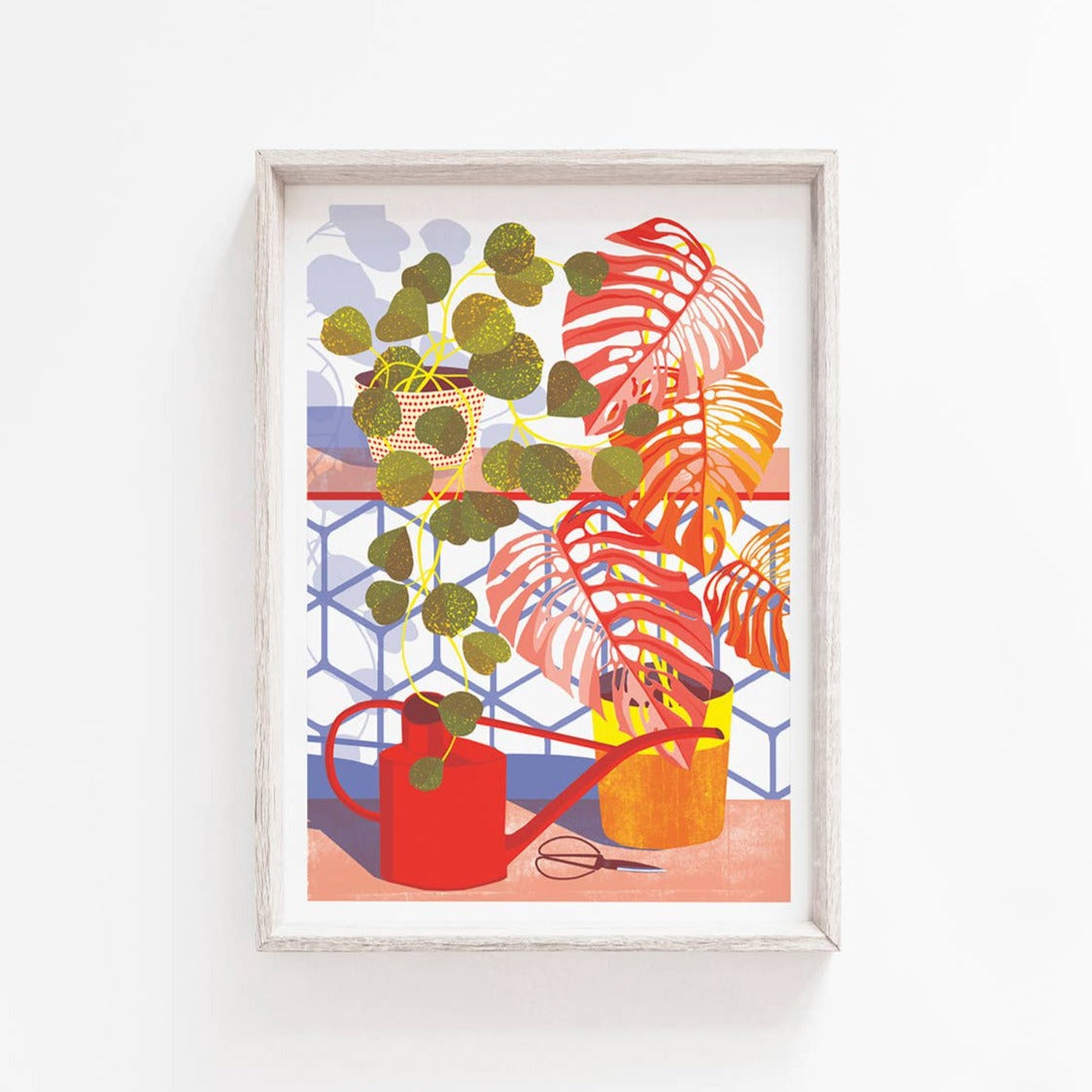 Printer Johnson - Hoya - A4 Digital Print - COLORPOP