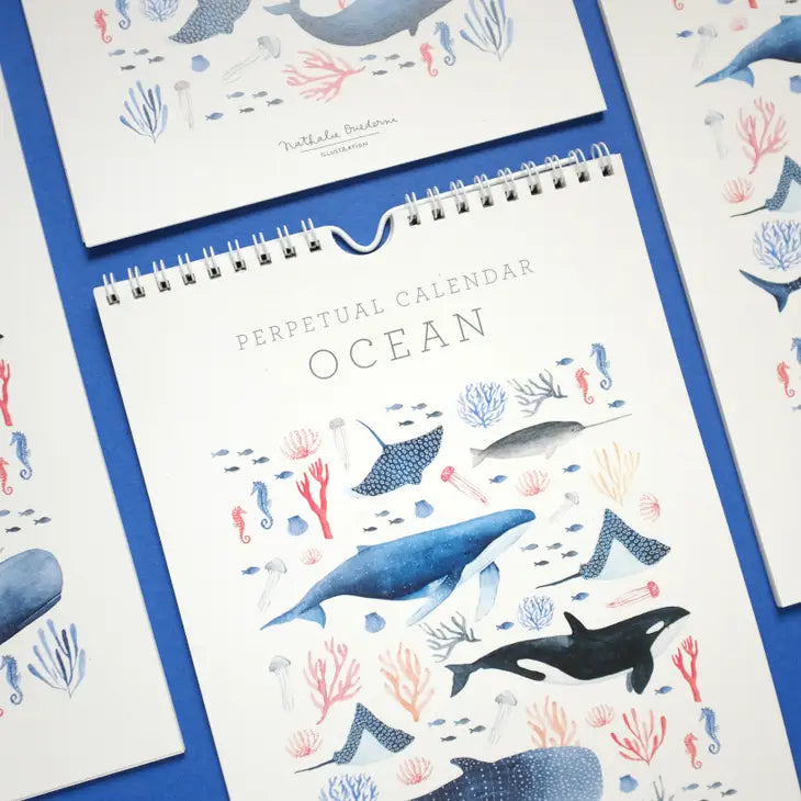 Nathalie Ouderni Illustration - Ocean Birthday Calendar - COLORPOP