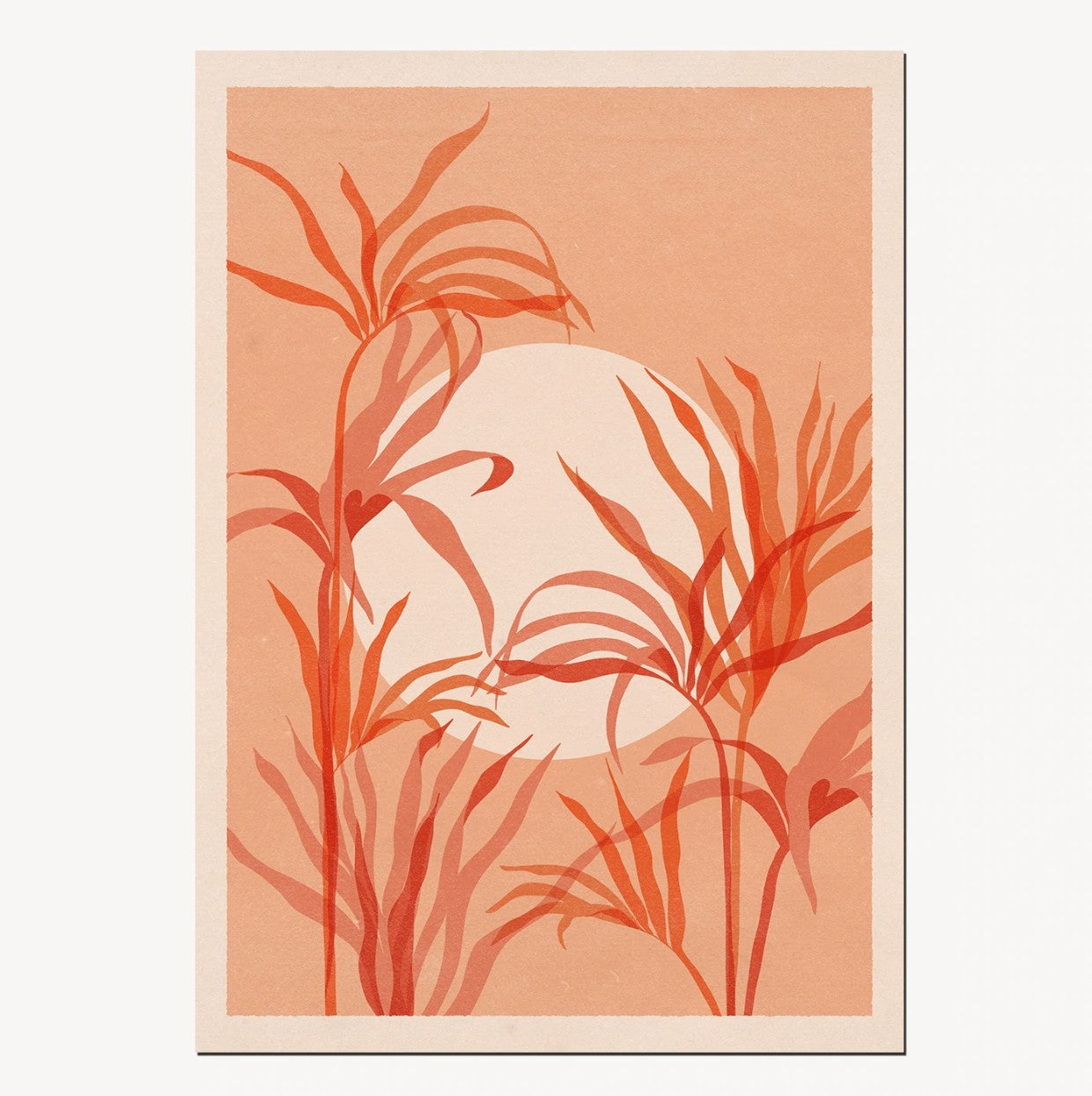 cai & jo - Kentiapalme A4 Print - COLORPOP