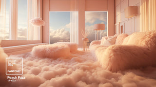 Årets farge 2024 Pantone: Peach Fuzz - COLORPOP