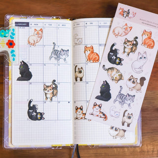 Klistremerker - COLORPOP