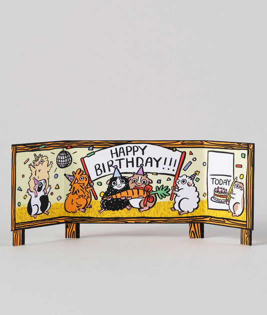 Guinea Pig Surprise - Bursdagskort