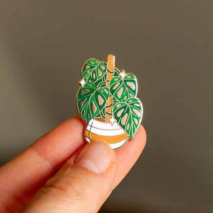 Swiss Cheese Plant Pins