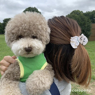 BICHON Hårklype