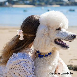 POODLE Hårklype