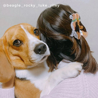 BEAGLE Hårklype