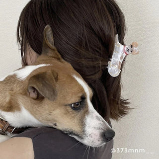 JACK RUSSELL Hårklype