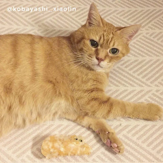 CAT GINGER Hårklype