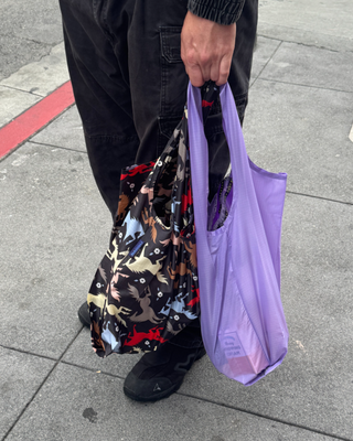 Standard Baggu - Wisteria