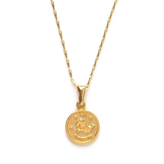 Amano Studio - Tiny Zodiac Medallion - Capricorn - COLORPOP