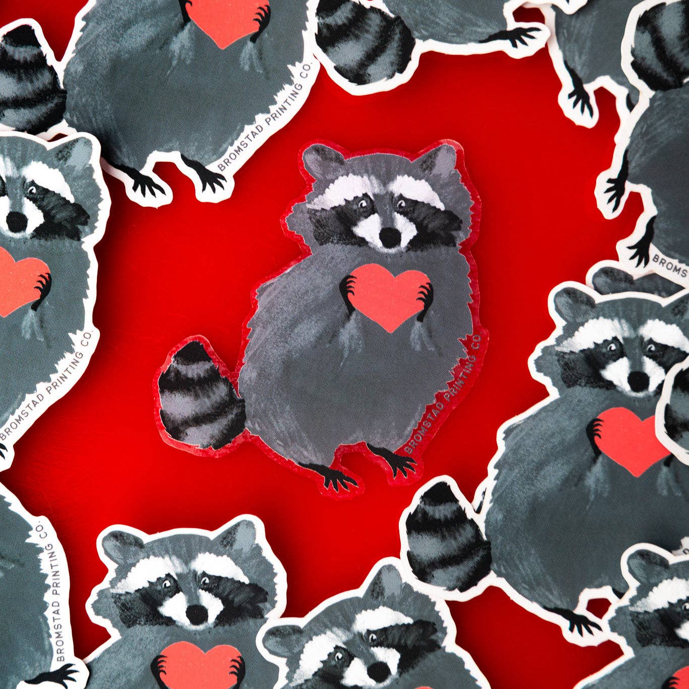 Raccoon Love - Transparent Klistremerke