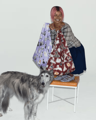 BAGGU - Standard Baggu - Fancy Cats - COLORPOP