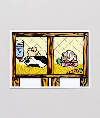 Guinea Pig Surprise - Bursdagskort