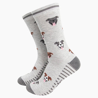 COLORPOP - Bambussokker Staffordshire bull terrier Str. 41 - 45 - COLORPOP
