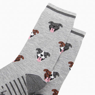 COLORPOP - Bambussokker Staffordshire bull terrier Str. 41 - 45 - COLORPOP