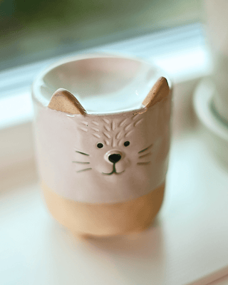 COLORPOP - Katt Olje - og Voksvarmer - COLORPOP