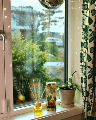 COLORPOP - Sitrusduft med Frukttopp – Sitron eller Appelsin (100 ml) - COLORPOP