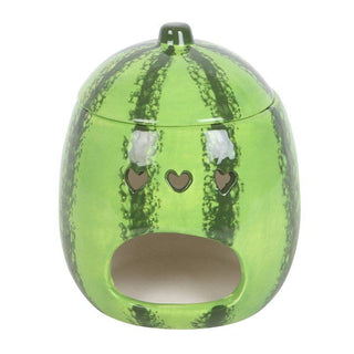 COLORPOP - Vannmelon Olje - og Voksvarmer - COLORPOP