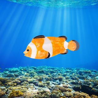 KLOVNEFISK Hårklype