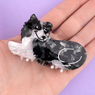 Coucou Suzette - BORDER COLLIE Hårklype - COLORPOP