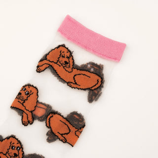 COCKER SPANIEL Sheer Socks