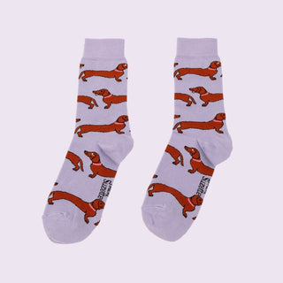 Coucou Suzette - DACHS Sokker - COLORPOP