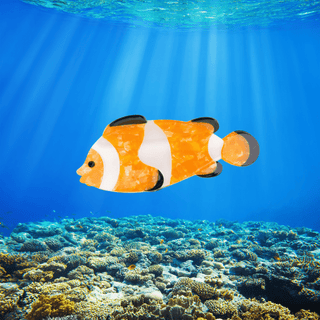 Coucou Suzette - KLOVNEFISK Hårklype - COLORPOP