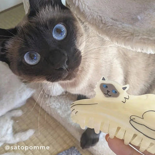 Coucou Suzette - SIAMESE CAT Hårklype - COLORPOP