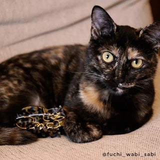 Coucou Suzette - SKILPADDEKATT Hårklype - COLORPOP