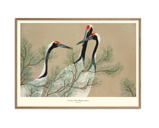 Cranes from Momoyogusa 50 x 70 cm