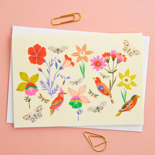 Elvira.v.v.Designs - Sett med 8 Kort - Fugler og Dyr - COLORPOP