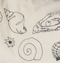 Embroidered Shells