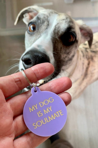 Flamingo - My Dog is My Soulmate - Nøkkelring - COLORPOP