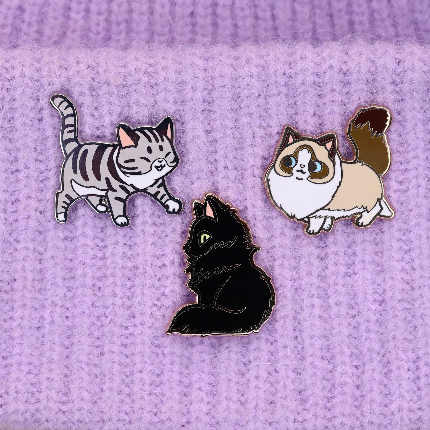 Ragdoll Katt - Pins