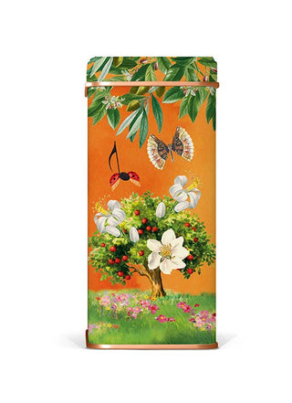 Lady Joseph - Assorterte Kjeks i Vakker Metallboks - COLORPOP